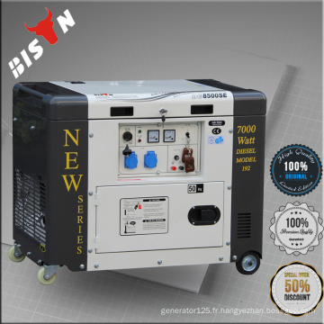 Bison Chine Zhejiang Super Silent 7KW 9KW Diesel Engine Honda 9000W Diesel Generator Set